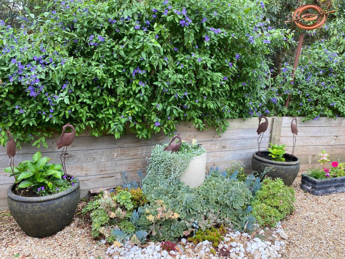 Cozy Cottage Victor Harbor Hindmarsh Valley 外观 照片